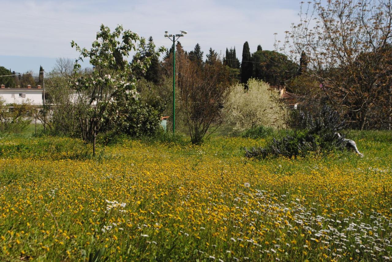 Fattoria Di Malavolta Florence